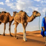 3 dias de Fez a Merzouga pelo deserto tuaregues em Marrocos