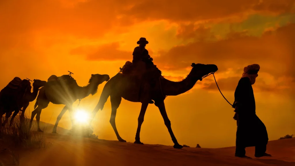 Errachidia Do deserto para Marrakech