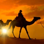 Errachidia Do deserto para Marrakech