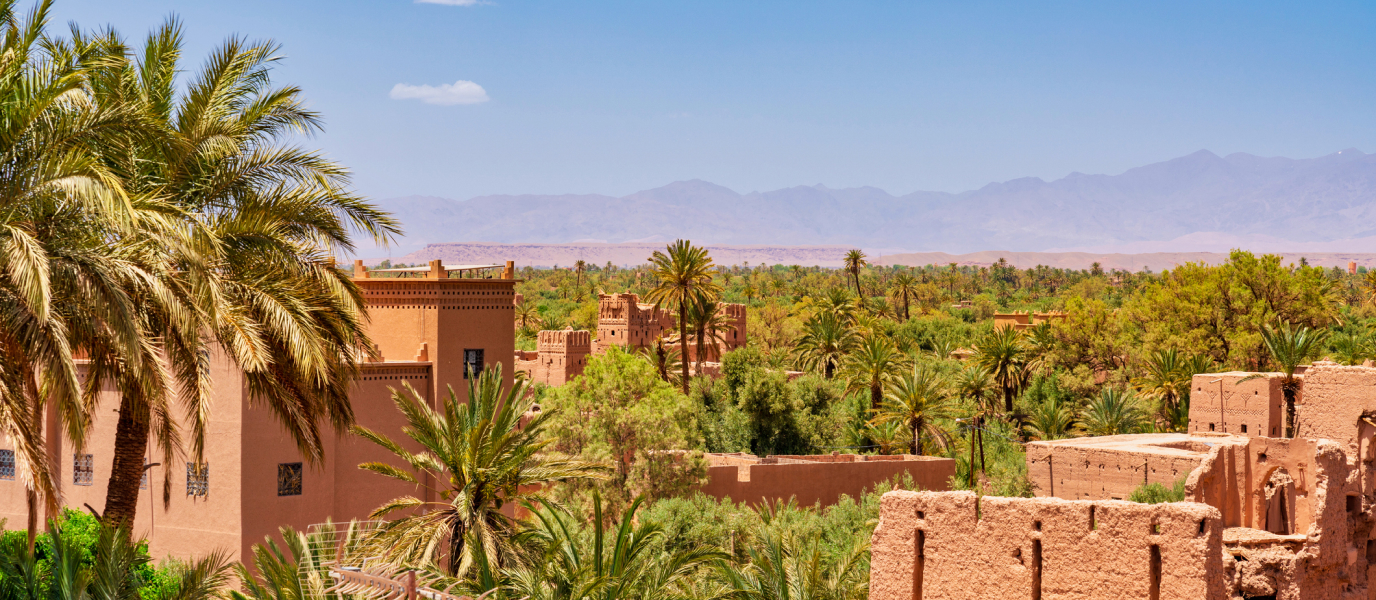 O que é o Oásis das Mil Palmeiras em Marrocos?