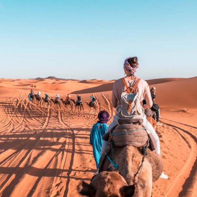 0ec884a8ed9dd0afae71669d87946e8dd178db5a