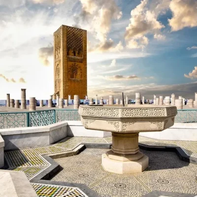 667299828_shutterstock_229408513