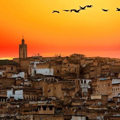 Fes Morocco Tour (22)