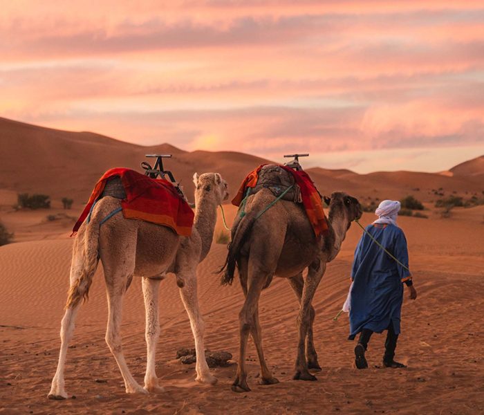 Tour de 5 dias no deserto de Marrocos